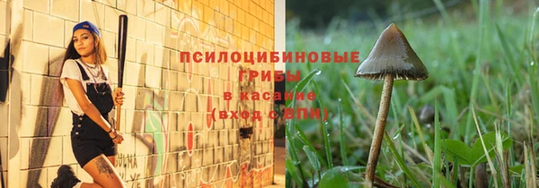 наркотики Новодвинск