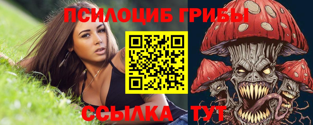 Псилоцибиновые грибы Magic Shrooms  Вход с VPN  Карпинск  Псилоцибиновые грибы ЛСД 